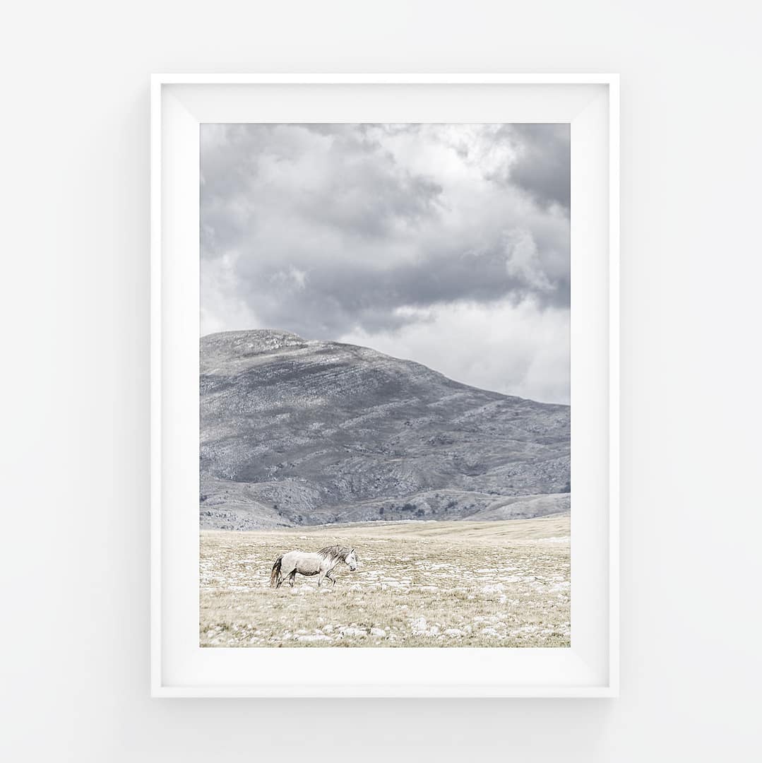 Kaukaa kuvattu villihevonen vuoristomaisemassa