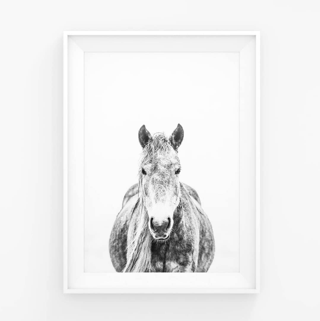 Wild & free - Soon to be mom juliste