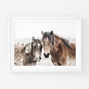 Wild & free – Together juliste