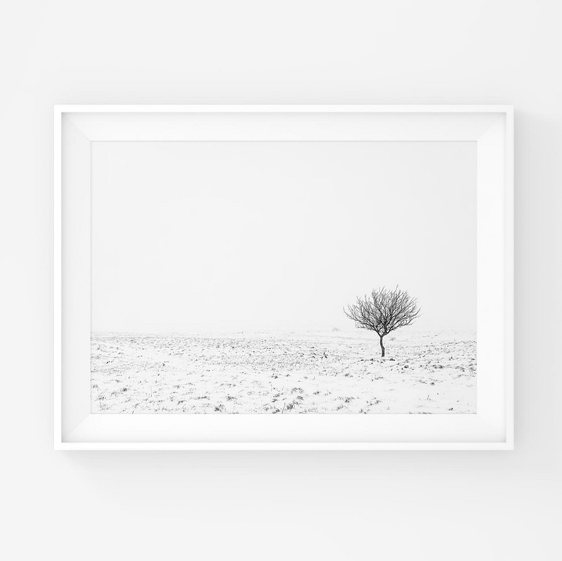 Yksinäinen pieni puu tyhjässä talvimaisemassa