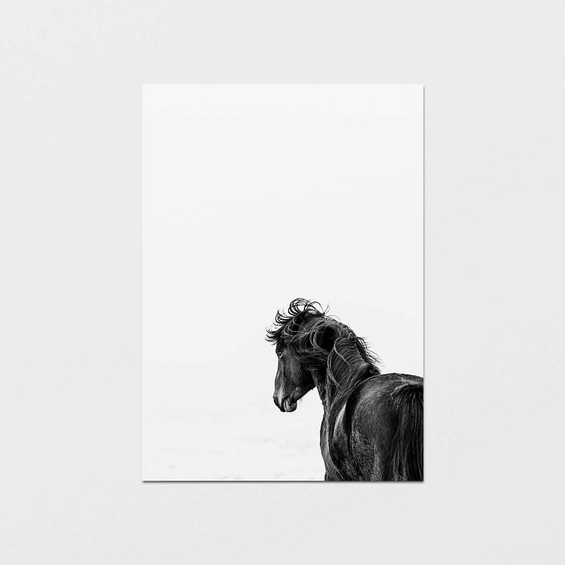 Mustavalkoinen ja minimalistinen postikortti villihevosesta